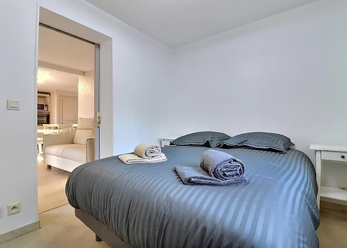 Superbe 3 Ch Avec Ascenseur Parking Hyper Centre Apartment